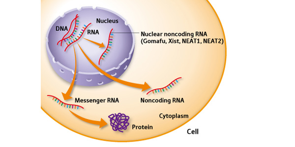 gallery_buildings_four